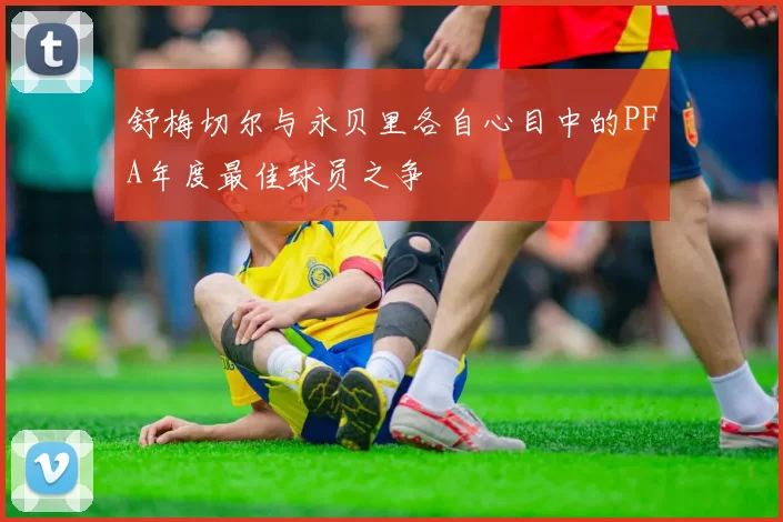 舒梅切尔与永贝里各自心目中的PFA年度最佳球员之争