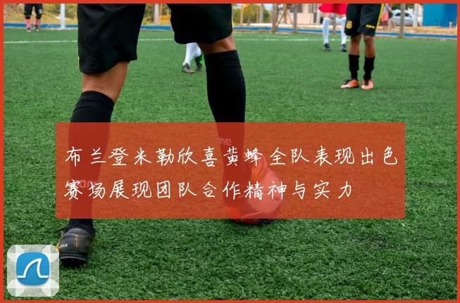 布兰登米勒欣喜黄蜂全队表现出色赛场展现团队合作精神与实力